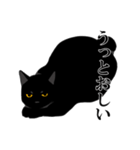 淡泊きまぐれな黒猫（個別スタンプ：37）
