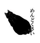 淡泊きまぐれな黒猫（個別スタンプ：38）