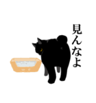 淡泊きまぐれな黒猫（個別スタンプ：40）