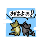 ねこ’s スタンプ その②（個別スタンプ：31）