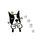 Lovely dog Mento Life（個別スタンプ：9）