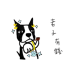 Lovely dog Mento Life（個別スタンプ：31）