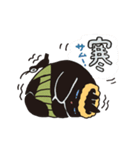 くろねこ フラちゃん（個別スタンプ：17）