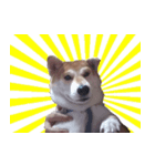 Momo Shiba Inu（個別スタンプ：1）