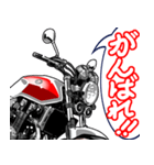 スポーツバイク(H車)(車バイクシリーズ)（個別スタンプ：13）
