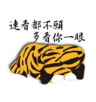Tiger cats（個別スタンプ：18）