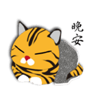 Tiger cats（個別スタンプ：20）