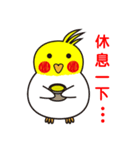 QQBird's Daily Life（個別スタンプ：5）