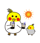 QQBird's Daily Life（個別スタンプ：39）