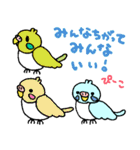 インコのぴーこ（個別スタンプ：32）