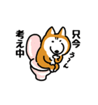 柴犬な日々1 【40個セット】（個別スタンプ：38）