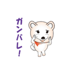 動く☆柴犬シロの日常 vol.4（個別スタンプ：3）