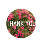 花と共に「ありがとう」を伝えるスタンプ（個別スタンプ：5）