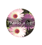 花と共に「ありがとう」を伝えるスタンプ（個別スタンプ：7）