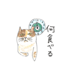 SOHAPPYCAT2（個別スタンプ：7）