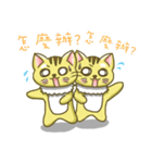 CandyCat（個別スタンプ：11）