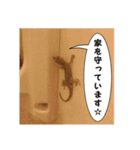 写真と文字と編集。02（個別スタンプ：1）