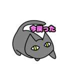 Tsundere Gray Cat（個別スタンプ：15）