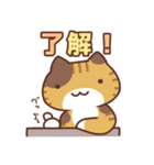 元気なねこ（個別スタンプ：16）