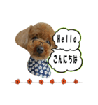 mashimadog Sticker（個別スタンプ：1）