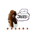 mashimadog Sticker（個別スタンプ：3）