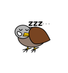 ムクドリのムクちゃんです。（個別スタンプ：13）