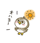 コキンメフクロウちゃん（個別スタンプ：1）