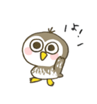 コキンメフクロウちゃん（個別スタンプ：3）