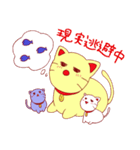 働く3匹のねこ（個別スタンプ：34）