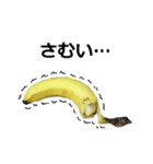 バナナ（個別スタンプ：31）