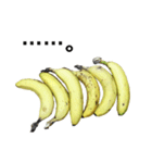 バナナ（個別スタンプ：40）