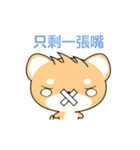 Shiba inu-Animated Stickers-Part2（個別スタンプ：1）