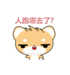 Shiba inu-Animated Stickers-Part2（個別スタンプ：2）