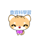 Shiba inu-Animated Stickers-Part2（個別スタンプ：6）