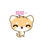 Shiba inu-Animated Stickers-Part2（個別スタンプ：10）