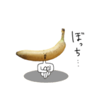 シュールなバナナ（個別スタンプ：20）