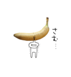 シュールなバナナ（個別スタンプ：23）