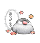 文鳥さんのホンネ（個別スタンプ：4）