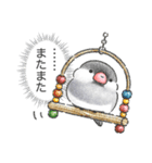 文鳥さんのホンネ（個別スタンプ：17）