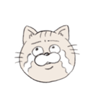 近所の猫（個別スタンプ：3）