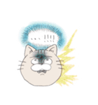 近所の猫（個別スタンプ：6）