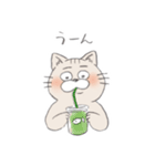 近所の猫（個別スタンプ：13）
