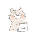 近所の猫（個別スタンプ：37）