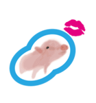 Watercolor Piggy（個別スタンプ：3）