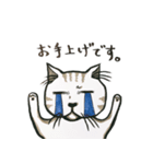 neko sticker 1（個別スタンプ：6）