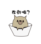 Cup Dog（個別スタンプ：1）