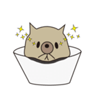 Cup Dog（個別スタンプ：4）