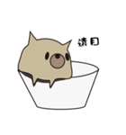 Cup Dog（個別スタンプ：12）