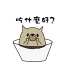 Cup Dog（個別スタンプ：13）