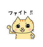 猫のヒナチロ3（個別スタンプ：30）